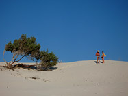 Dune di Portopino
