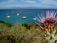 Inizio estate sulla Costa Sarda