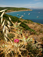 Estate inoltrata in Sardegna