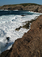 Forti venti di Maestrale - Mare mosso